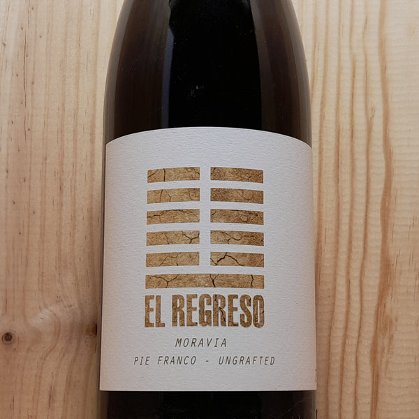 El Regreso Moravia Agria 2024