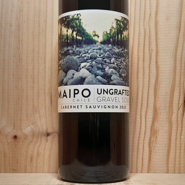 De Martino Ungrafted Cabernet Sauvignon