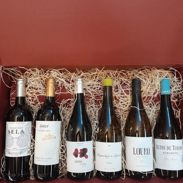 Spanish Premium 6 Bottle Wine Set
