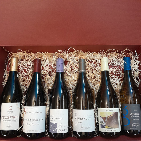 Premium Burgundy 6 Bottle Wine Set